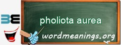 WordMeaning blackboard for pholiota aurea
